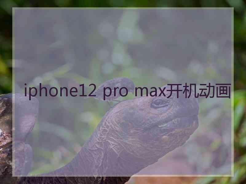 iphone12 pro max开机动画