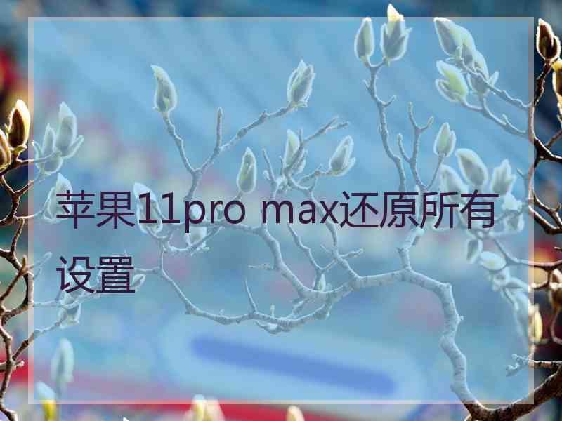 苹果11pro max还原所有设置