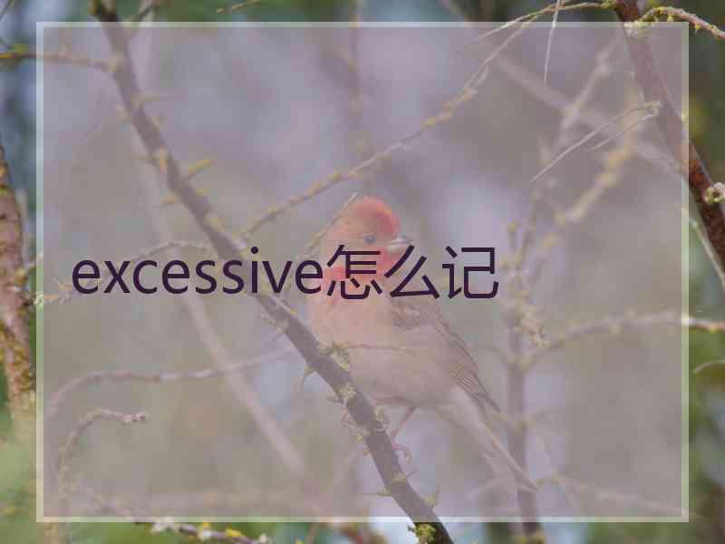 excessive怎么记