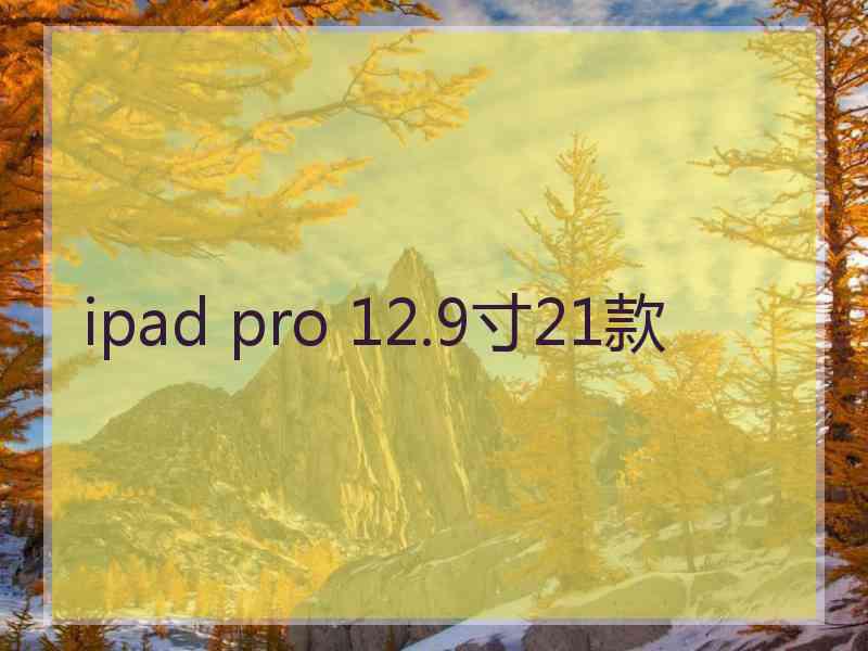 ipad pro 12.9寸21款