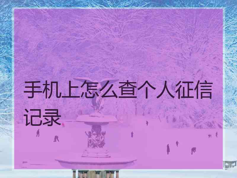 手机上怎么查个人征信记录