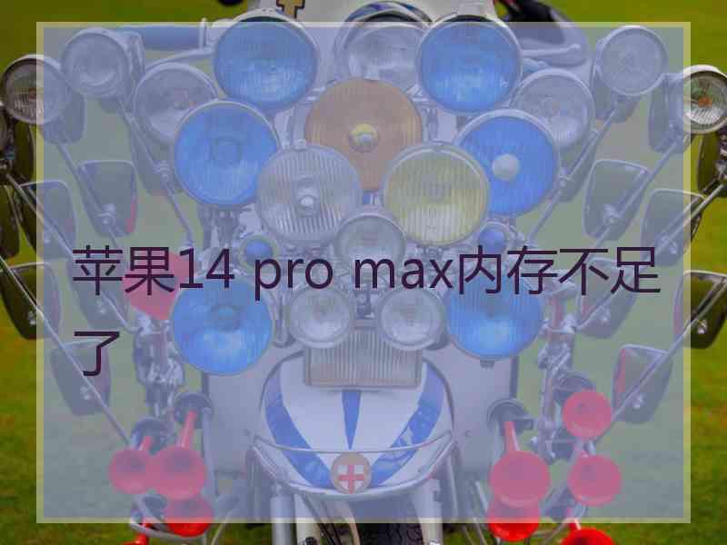 苹果14 pro max内存不足了