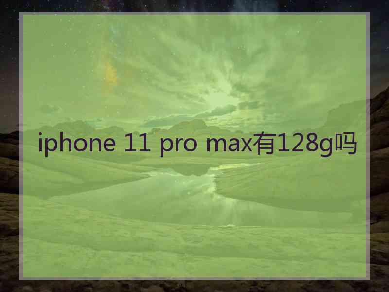 iphone 11 pro max有128g吗