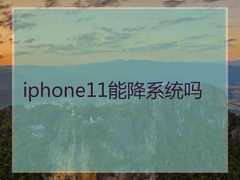 iphone11能降系统吗