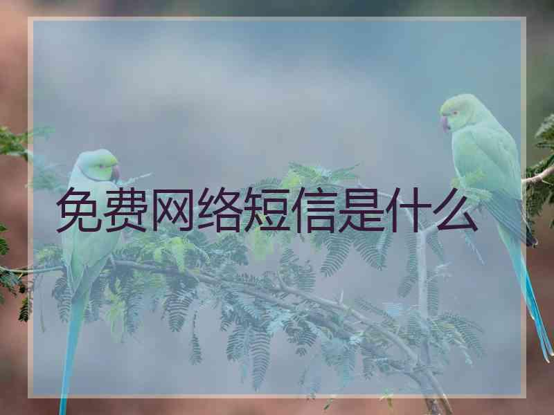 免费网络短信是什么