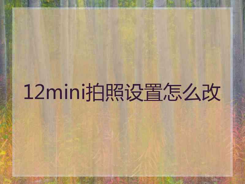 12mini拍照设置怎么改