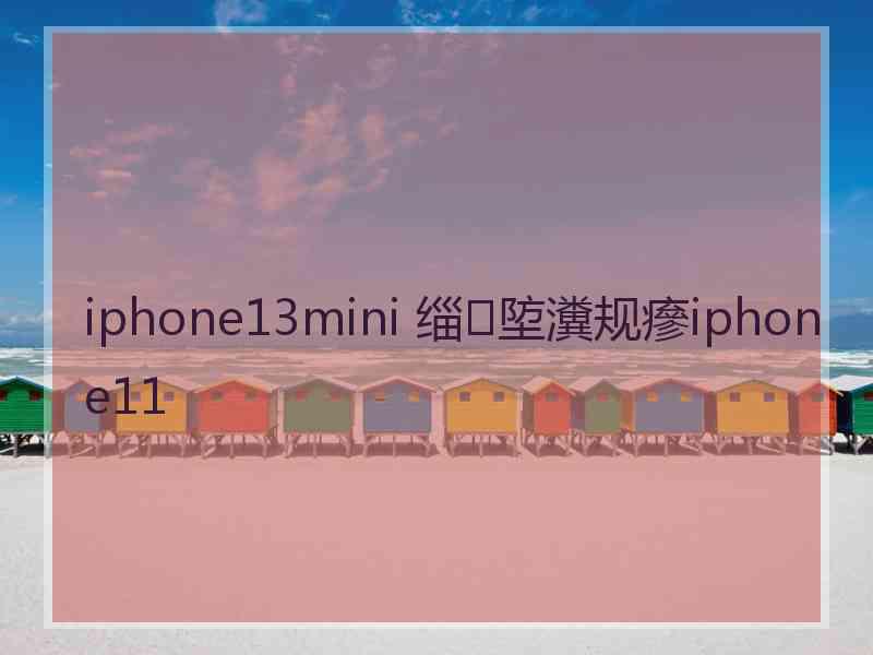 iphone13mini 缁埅瀵规瘮iphone11