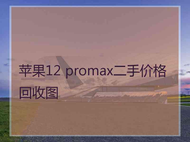 苹果12 promax二手价格回收图