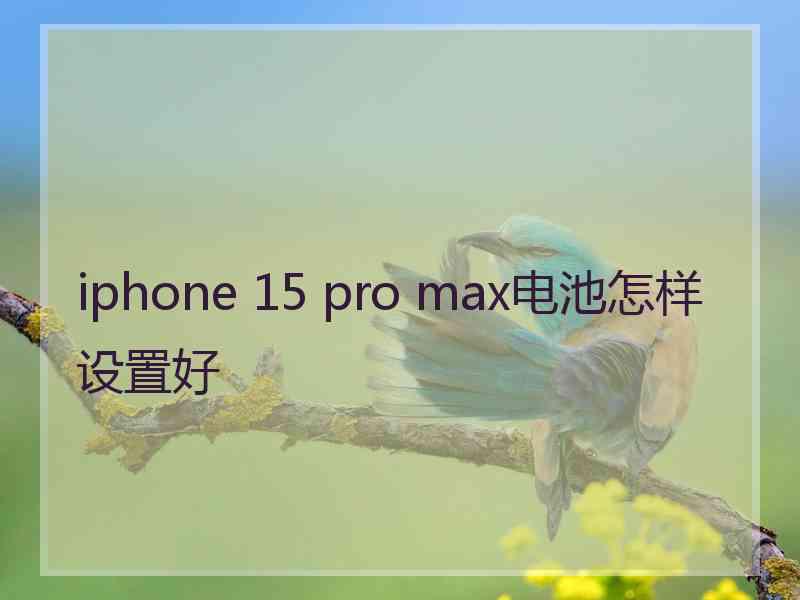 iphone 15 pro max电池怎样设置好