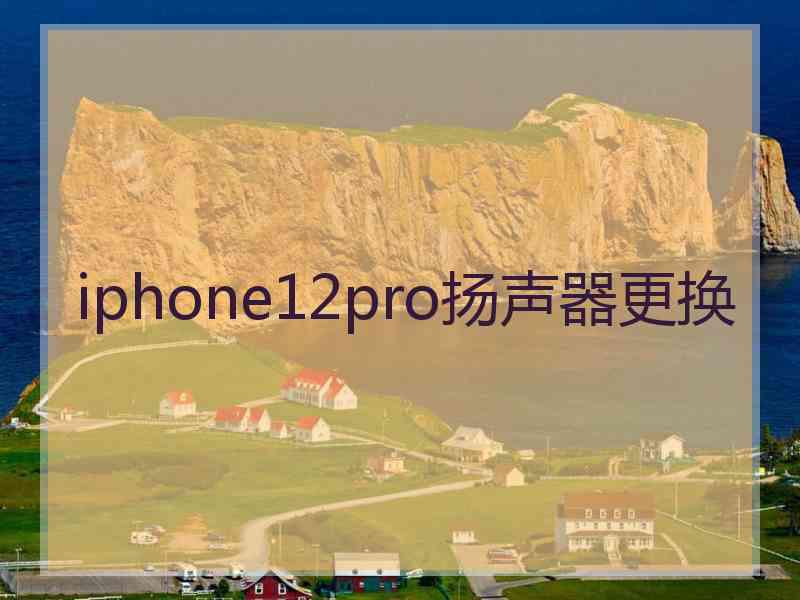 iphone12pro扬声器更换