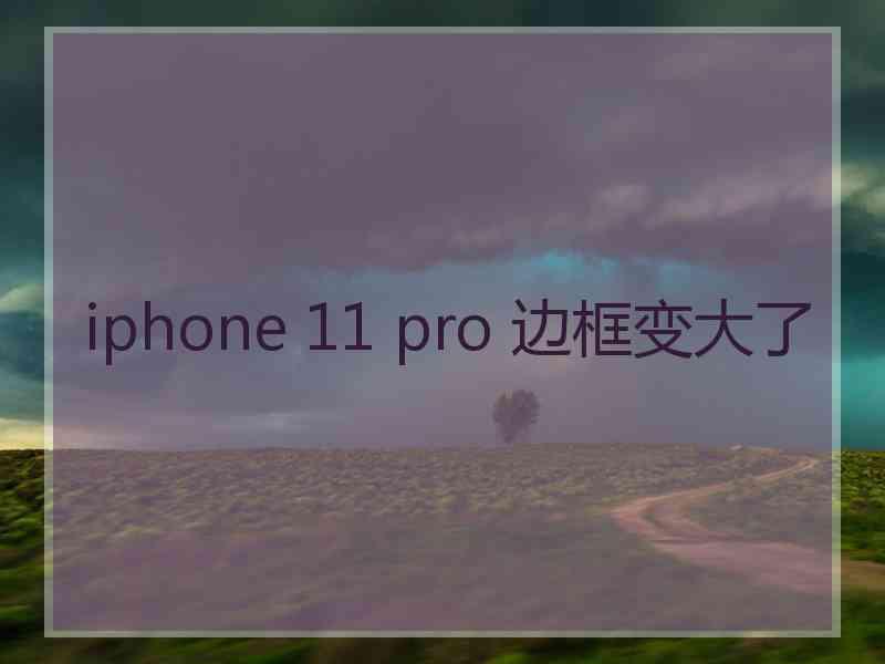 iphone 11 pro 边框变大了