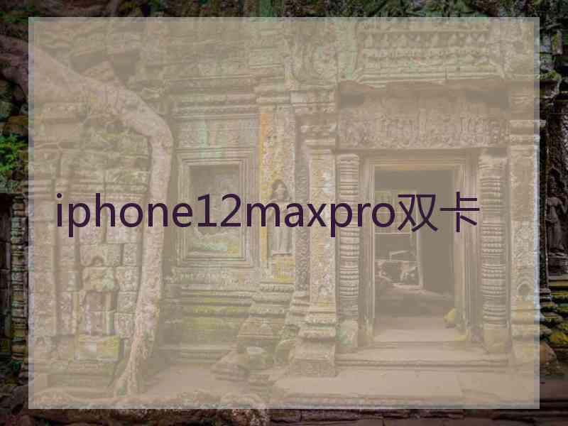 iphone12maxpro双卡