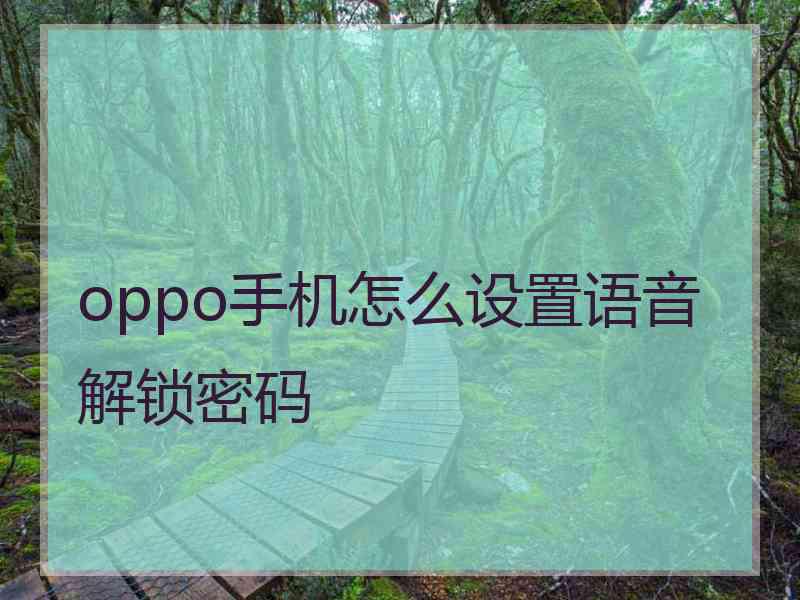 oppo手机怎么设置语音解锁密码