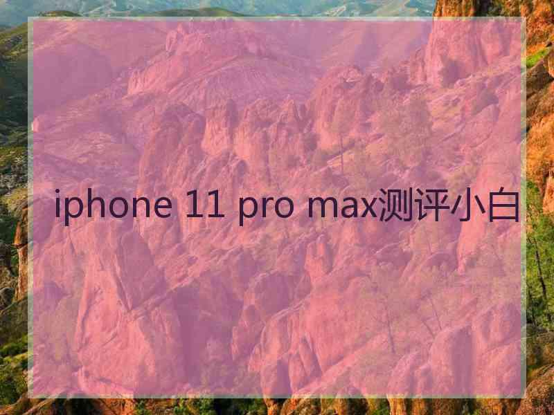 iphone 11 pro max测评小白