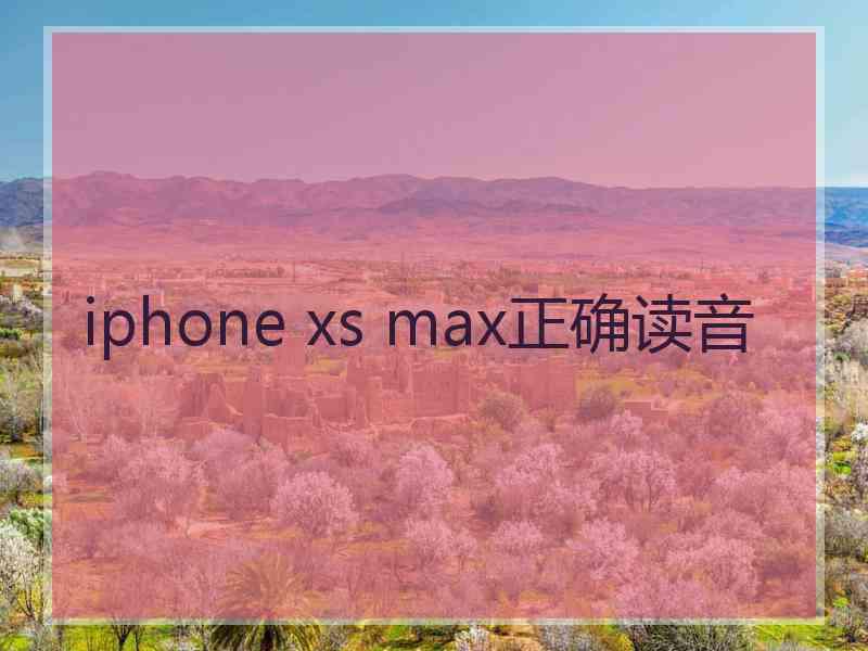 iphone xs max正确读音