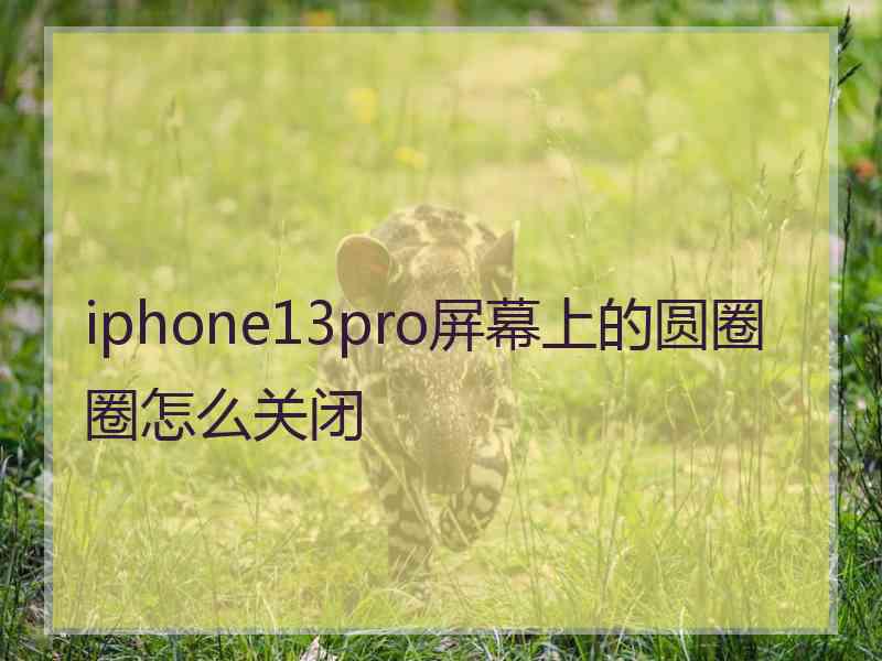 iphone13pro屏幕上的圆圈圈怎么关闭