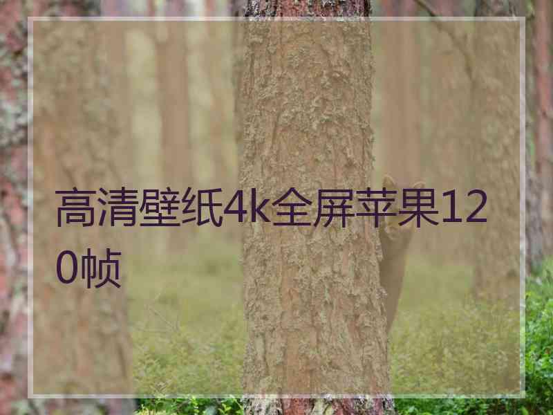 高清壁纸4k全屏苹果120帧