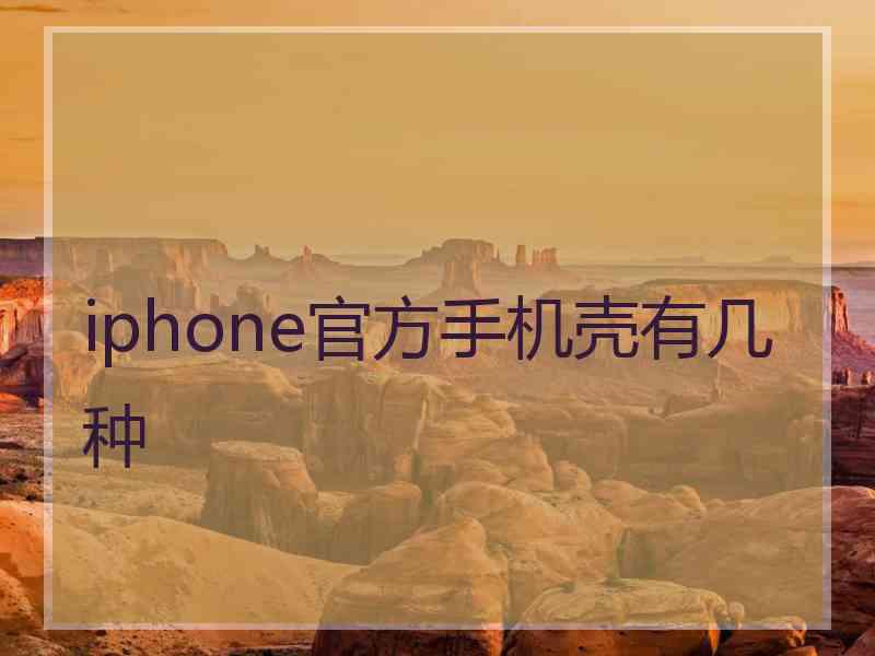 iphone官方手机壳有几种