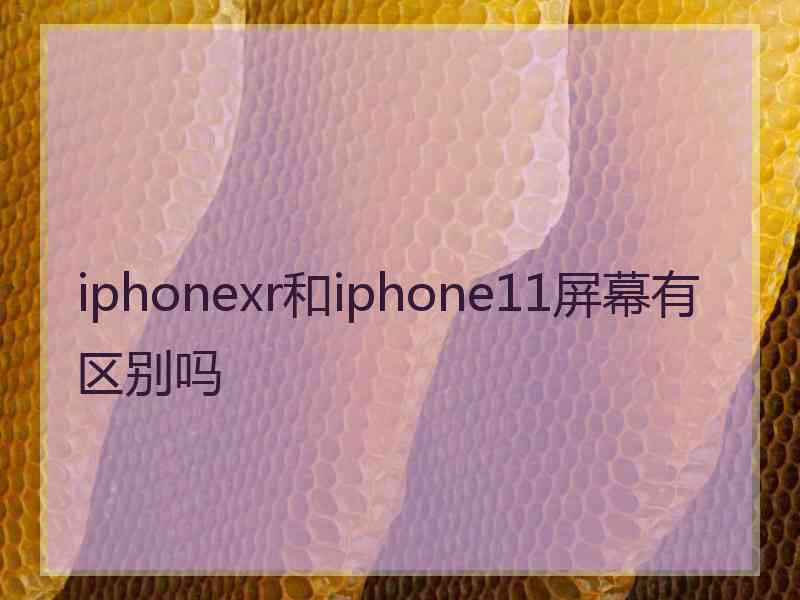 iphonexr和iphone11屏幕有区别吗