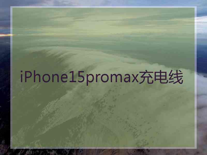 iPhone15promax充电线