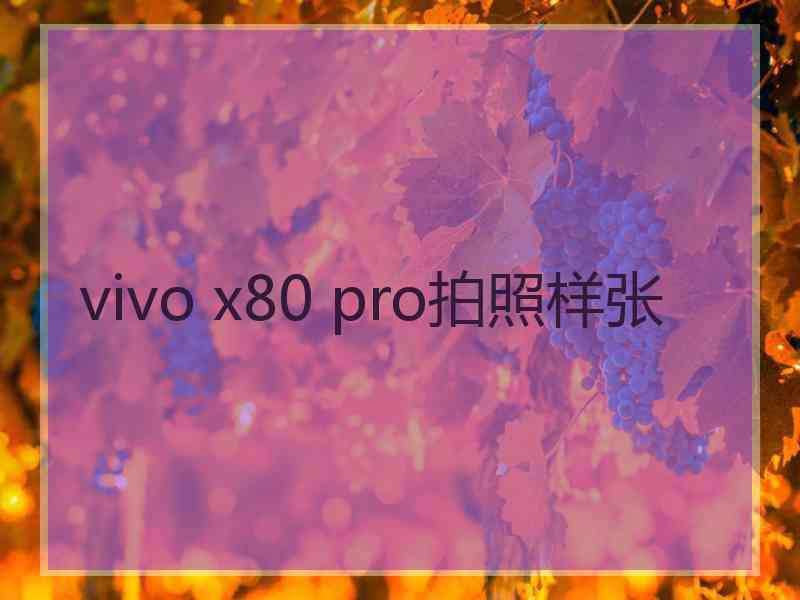 vivo x80 pro拍照样张