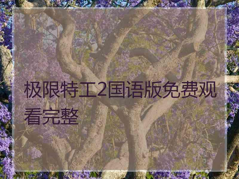 极限特工2国语版免费观看完整