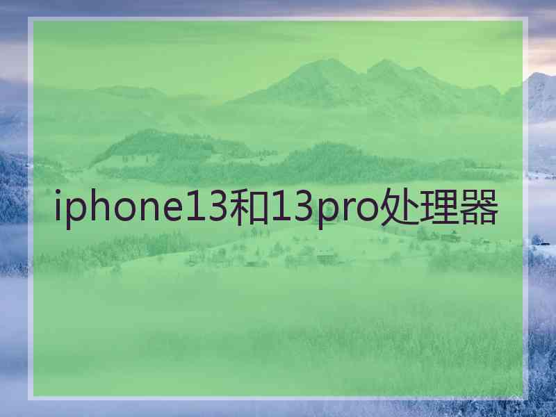 iphone13和13pro处理器