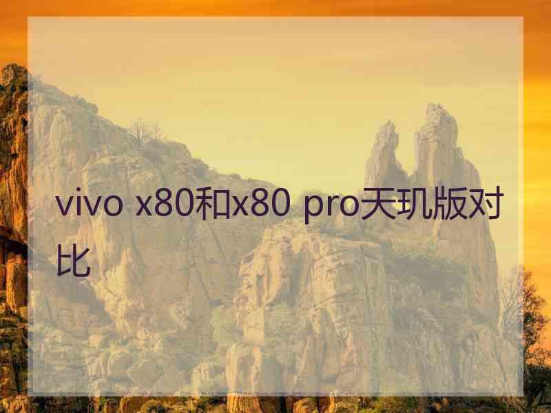 vivo x80和x80 pro天玑版对比