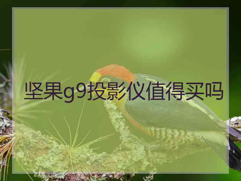 坚果g9投影仪值得买吗