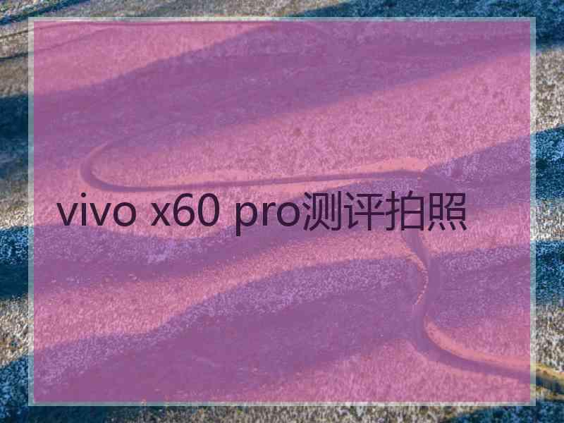 vivo x60 pro测评拍照