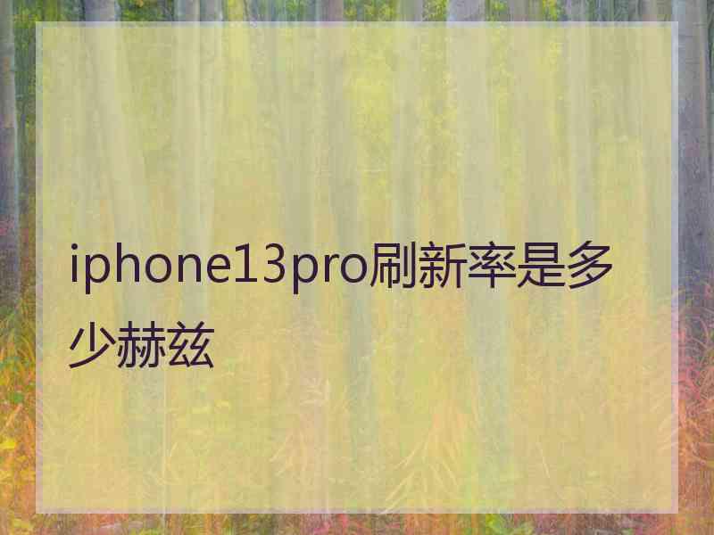 iphone13pro刷新率是多少赫兹