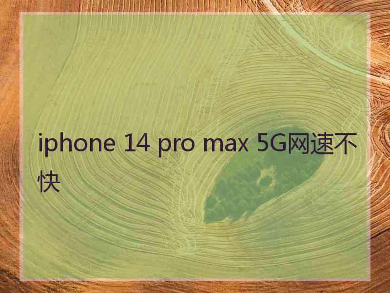 iphone 14 pro max 5G网速不快