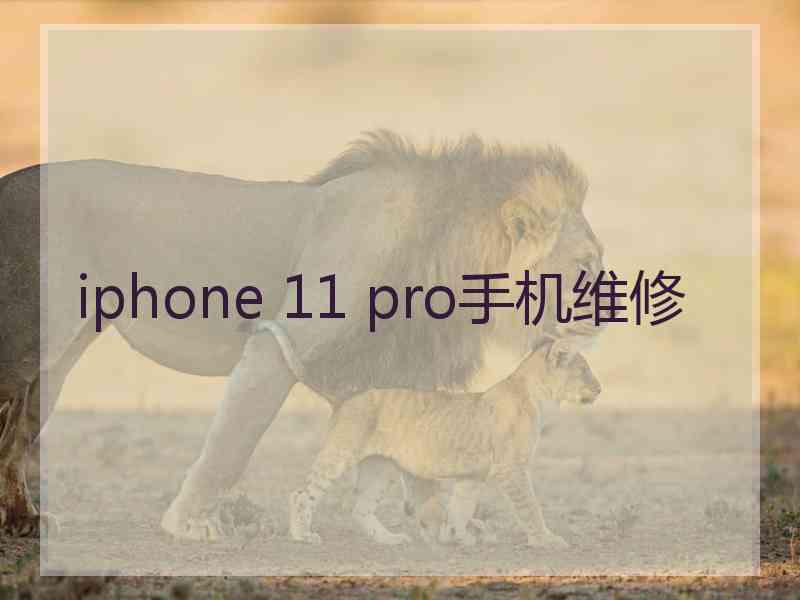 iphone 11 pro手机维修