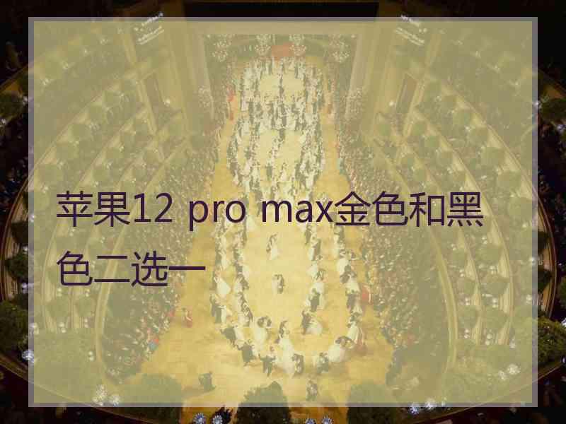 苹果12 pro max金色和黑色二选一