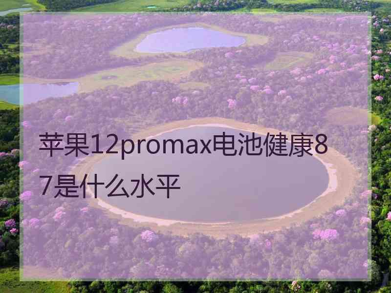 苹果12promax电池健康87是什么水平