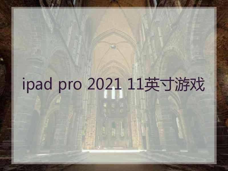 ipad pro 2021 11英寸游戏