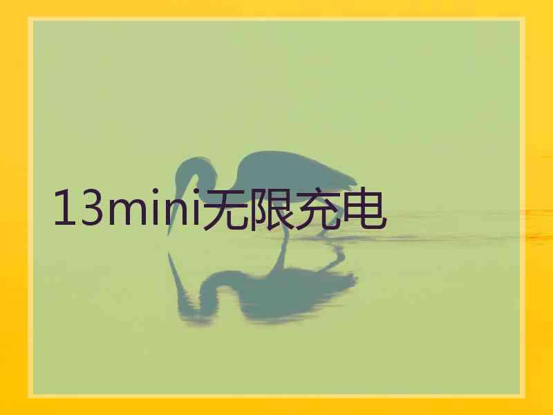 13mini无限充电