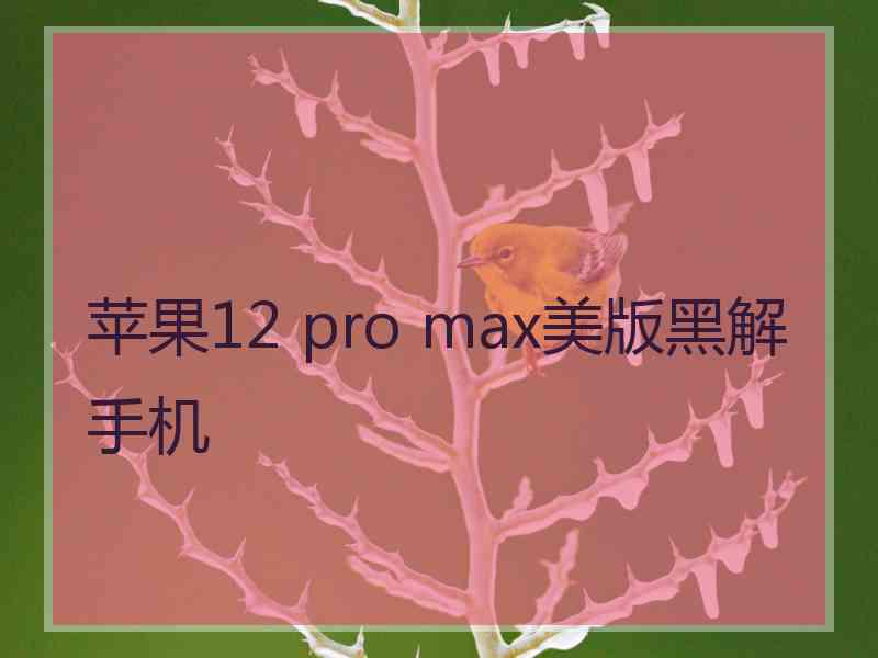 苹果12 pro max美版黑解手机