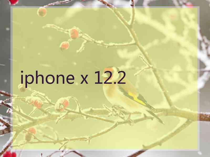 iphone x 12.2