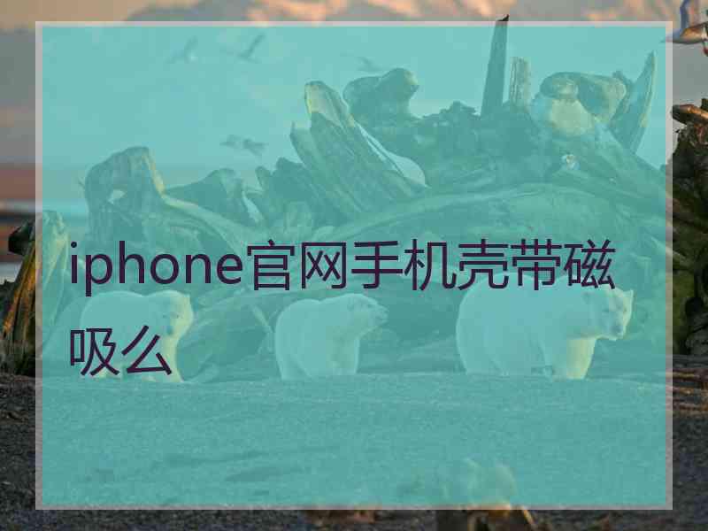 iphone官网手机壳带磁吸么