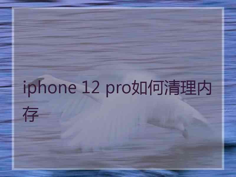 iphone 12 pro如何清理内存