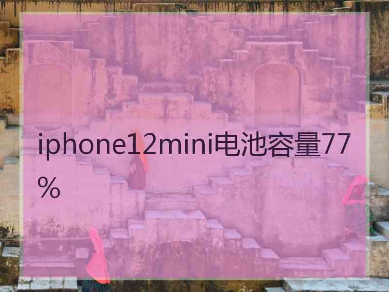 iphone12mini电池容量77%