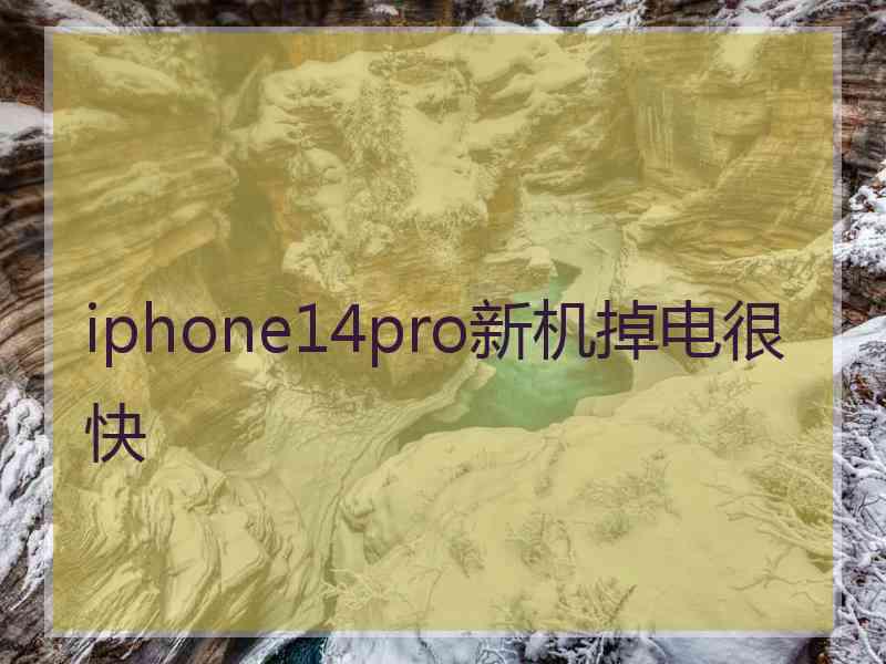 iphone14pro新机掉电很快