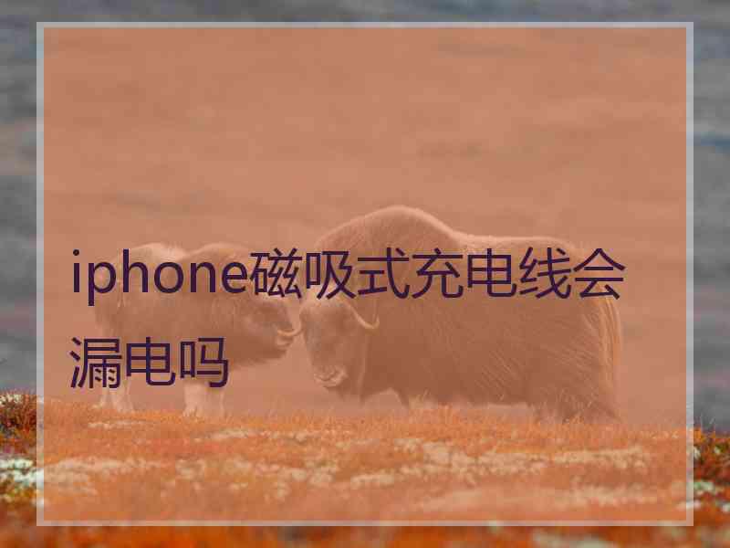 iphone磁吸式充电线会漏电吗