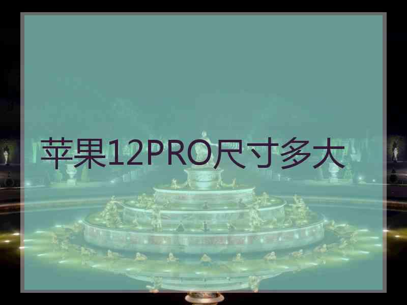 苹果12PRO尺寸多大