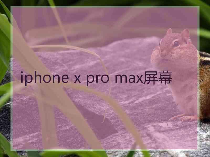 iphone x pro max屏幕