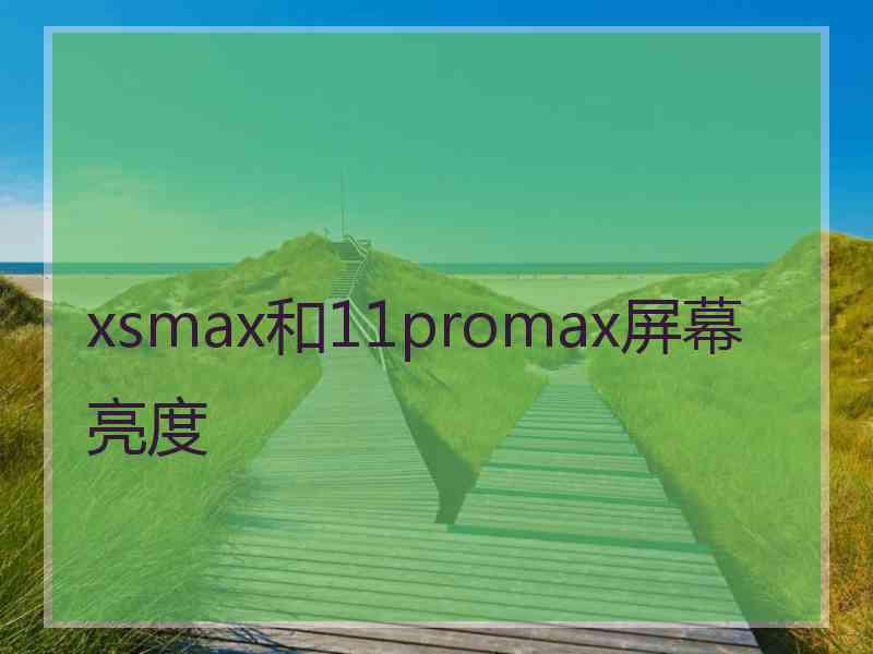 xsmax和11promax屏幕亮度