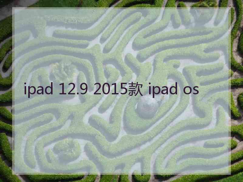 ipad 12.9 2015款 ipad os