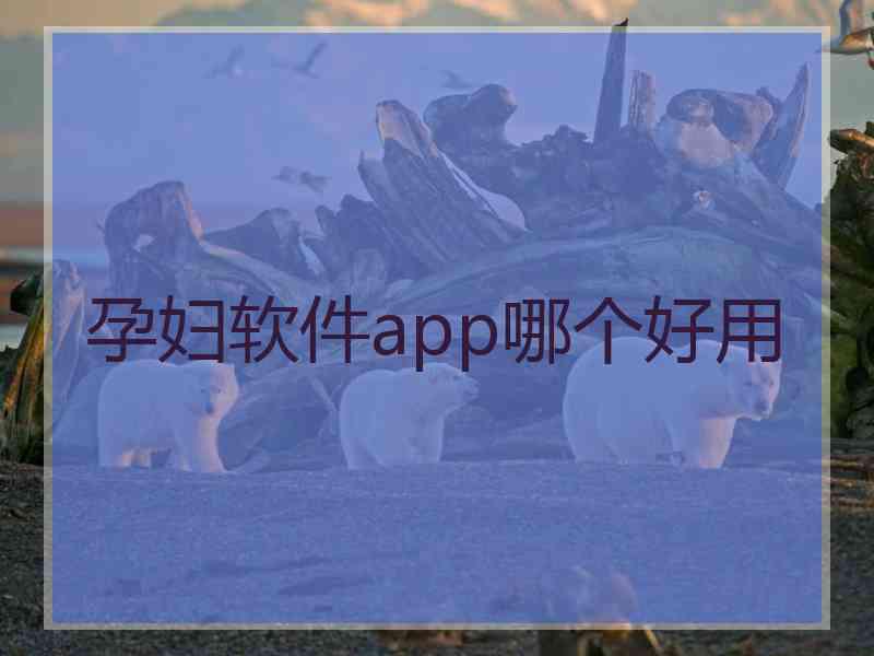 孕妇软件app哪个好用