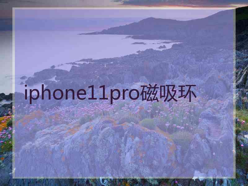 iphone11pro磁吸环